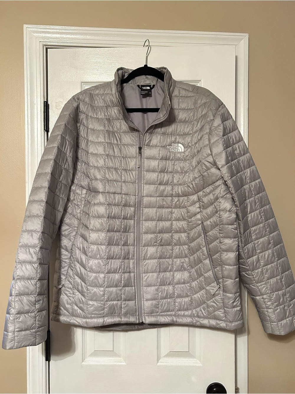 The North Face Men’s Light Silver Quilted Puffer Jacket